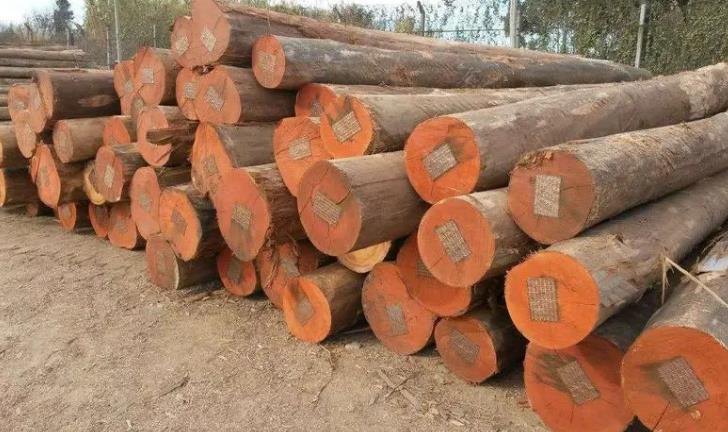 为什么床边要做桉木芯