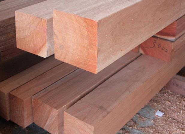 桉树做家具有毒吗