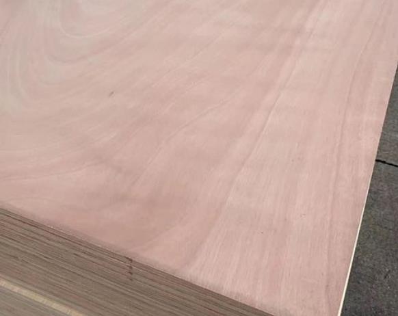 桉木芯板是实木吗