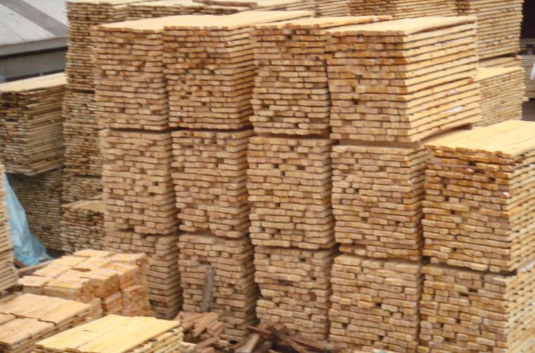 2023年8月份临沂杨木价格走势分析