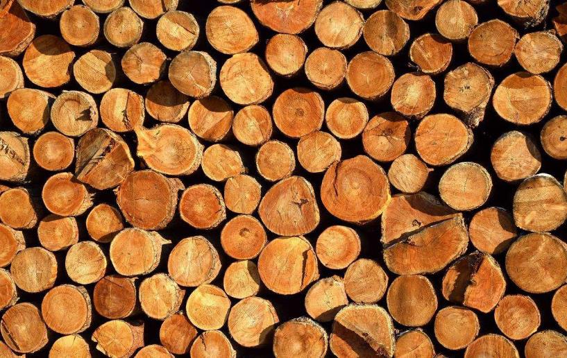 不同种类的木材及其特点与用途